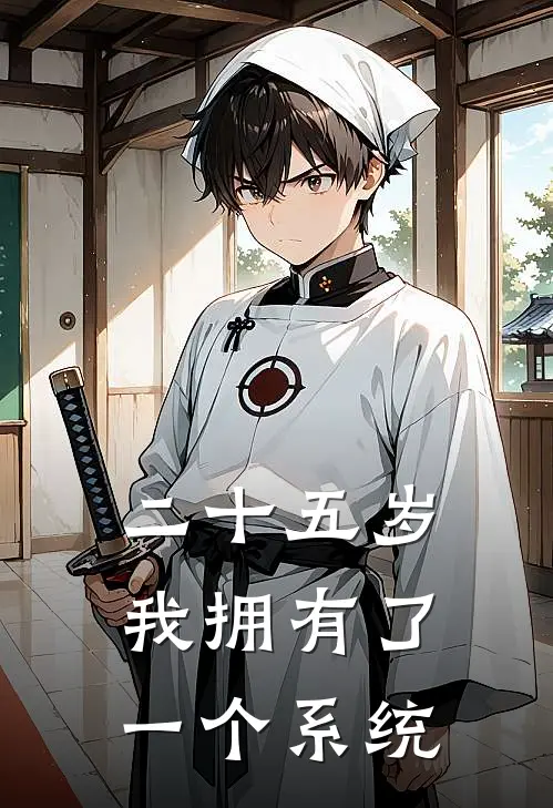 二十五岁，我拥有了一个系统