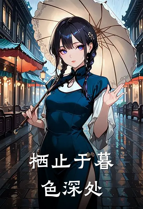 栖止于暮色深处