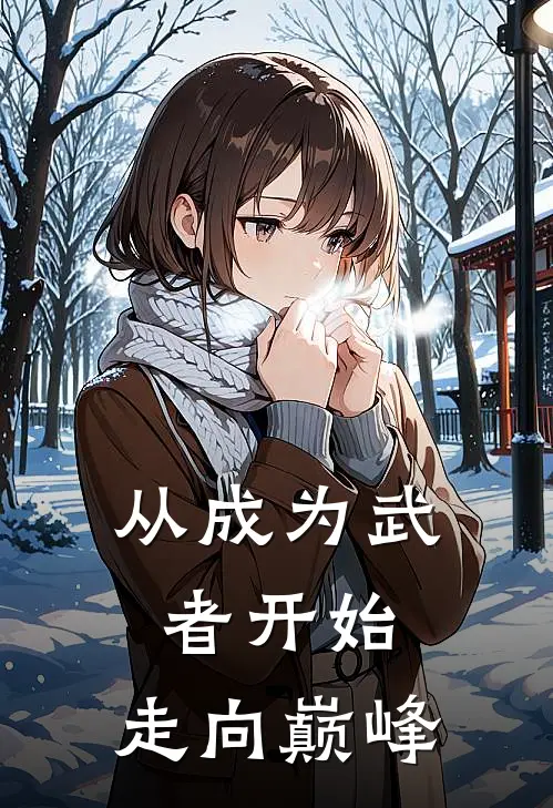 从成为武者开始，走向巅峰